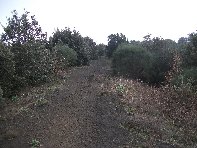 nte Ilice-20110120 058